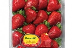 中转盘最新爆料甜蜜草莓,中转盘最新爆料揭秘浪漫爱情故事